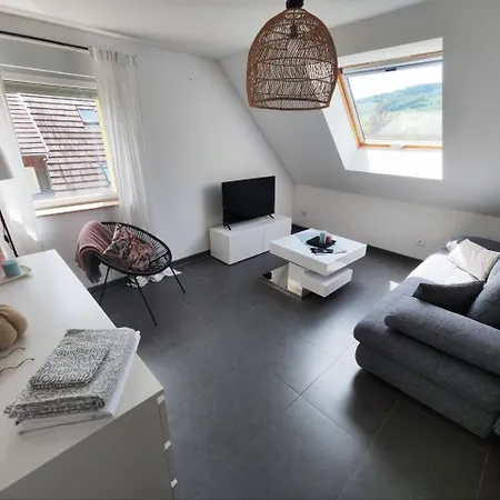 Bel En Centre Alsace Apartment *
