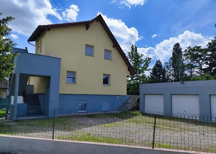 Daire Bel En Centre Alsace *